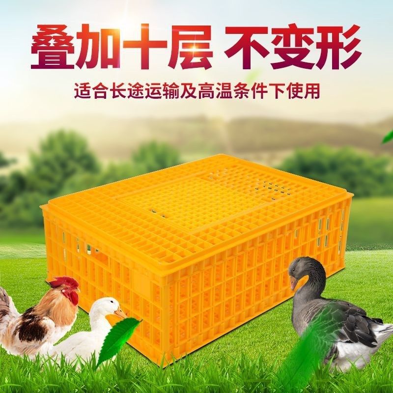 装鸡鸭筐鸡笼周转箱鸡鸭周转箱鸡用运输框运输笼拉鸡框子塑料筐,淘宝优惠券,粉丝福利购,淘宝优惠卷