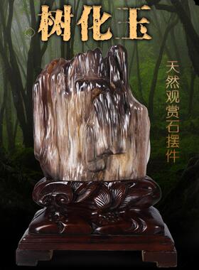 缅甸树化玉原石摆件天然冰种硅化木木化石奇石客厅景观石观赏石头