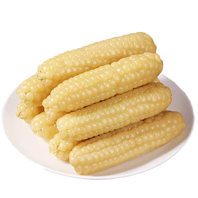 云南西双版纳拇指玉米即食早餐代餐新鲜傣家甜香糯迷你手指小玉米 - 图3