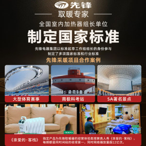 先锋油汀取暖器家用电暖器电热式暖气片油丁酊省电大面积婴儿烘衣