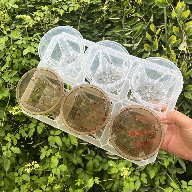 六格托架组合配10cm口径花盆透明色桌面阳台2.5寸杯青山花盆套盆,淘宝优惠券,粉丝福利购,淘宝优惠卷