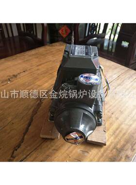 蒸汽发生器配件750W锅炉补水泵750W压多级泵蒸汽机发生器