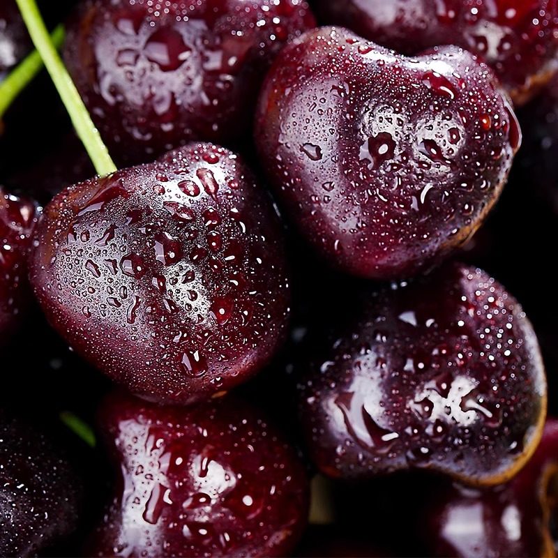 智利进口车厘子大樱桃应季水果整箱5斤孕妇包邮新鲜水果3jjj礼盒,淘宝优惠券,粉丝福利购,淘宝优惠卷