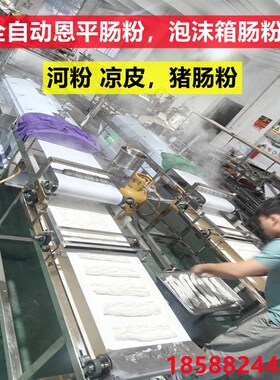 广东泡沫箱肠粉机恩平河粉机x凉皮全自动商用大小型猪肠粉米皮粿