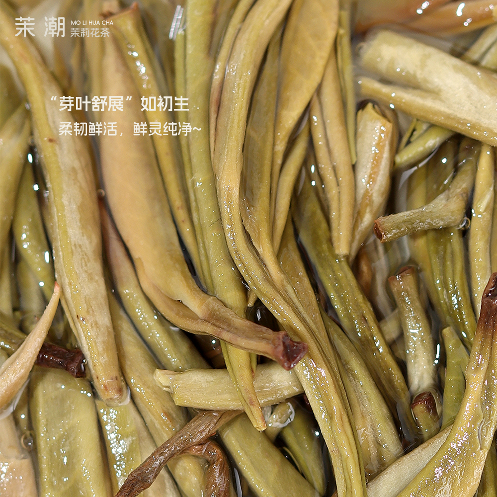 【茉潮·茉莉花茶】特级茉莉花茶春茶 浓香八窨茉莉银针 自饮送礼,淘宝优惠券,粉丝福利购,淘宝优惠卷