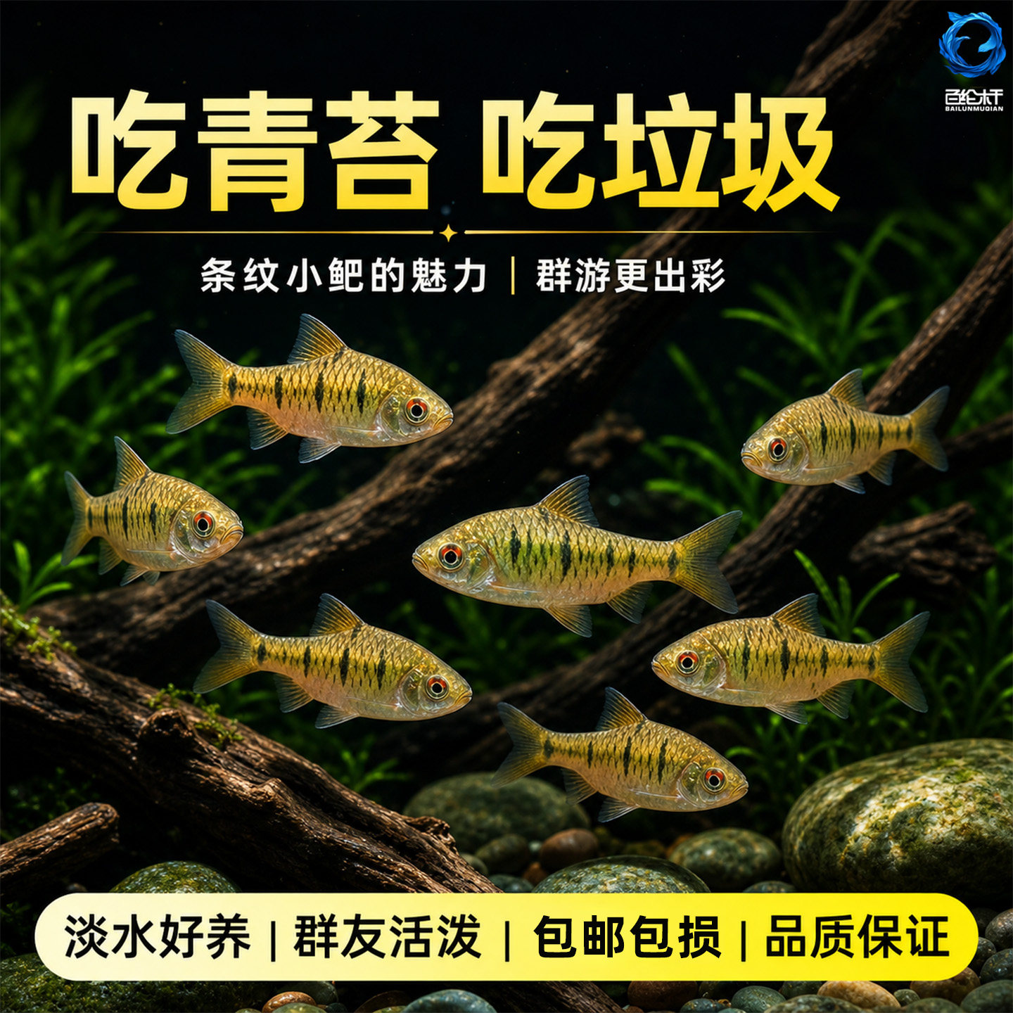 图4