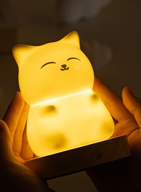 蔡小白台灯床头灯喵喵少女礼物氛围灯浪漫卧室P睡眠充电小夜灯摆