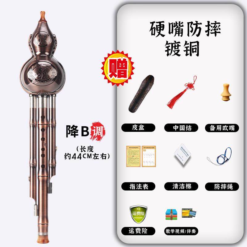 葫芦丝C调防摔耐用镀铜降B调成人学生专业演奏型葫芦丝初学者乐器,淘宝优惠券,粉丝福利购,淘宝优惠卷