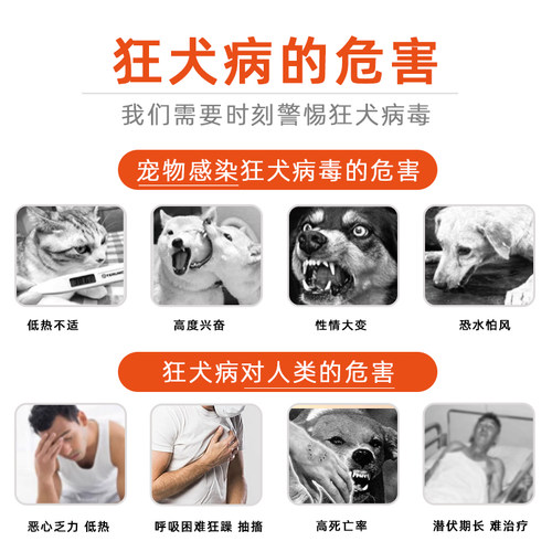 狂犬病试纸猫狗狗宠物狂犬病毒抗原健康检测猫咪狗RBV病毒检测卡-图0