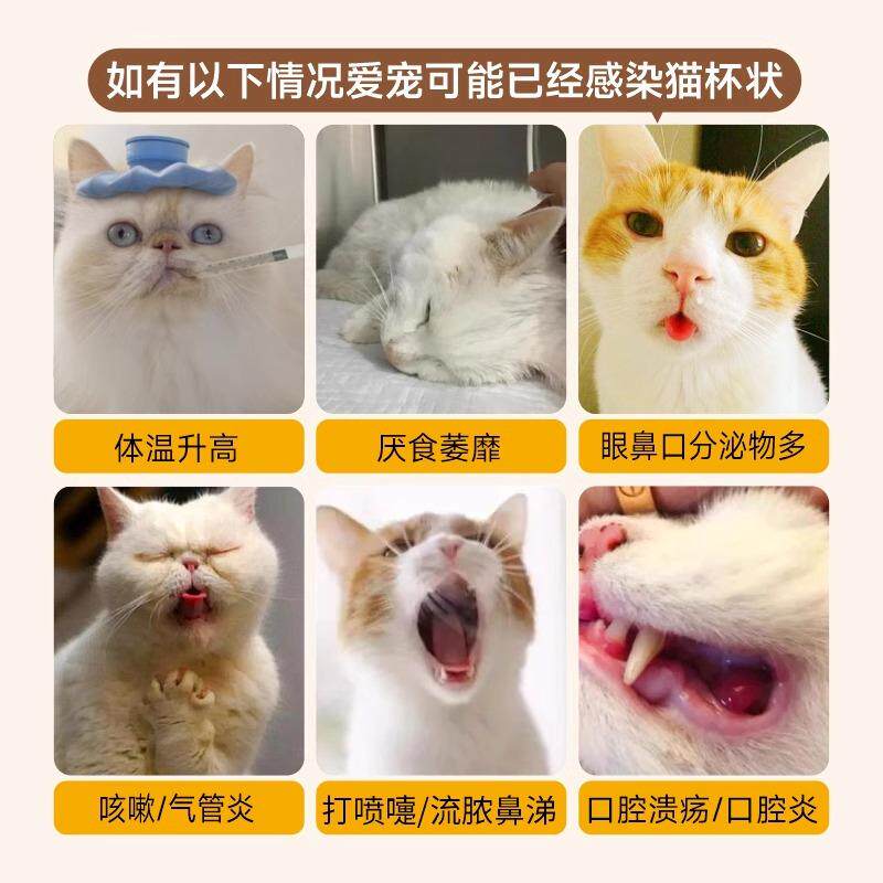 猫瘟猫鼻支猫杯状弓形虫狂犬检测套装猫咪病毒测试纸检测卡试纸