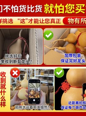 天然葫芦挂件真木胡芦带龙头招财开口门对门客厅玄关摆件大号文玩
