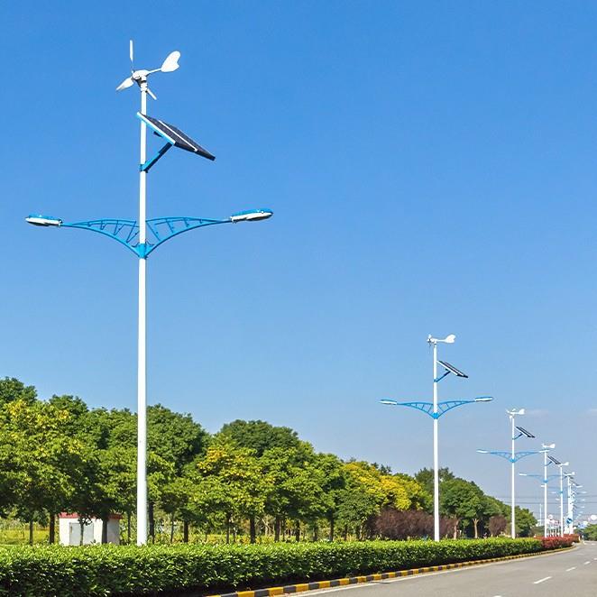 风光互补一体化太阳能路灯户外6米8米农村道路风力光伏发电路灯1 - 图0