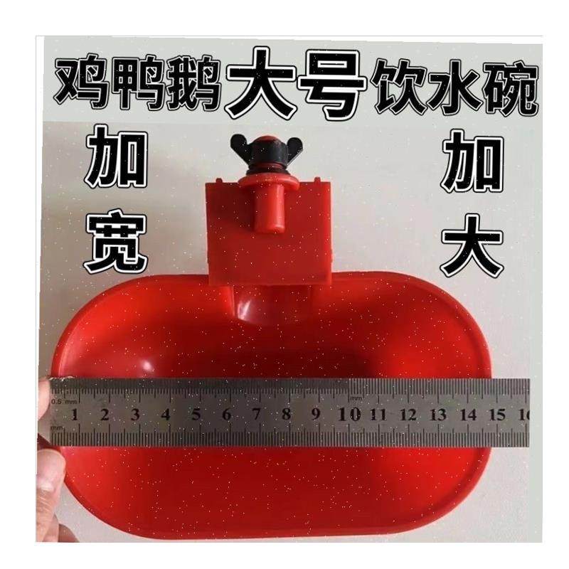 新款特大号鸡鸭鹅l自动饮水碗喂水器加大加厚家禽宠物猫狗兔用水,,淘宝优惠券,粉丝福利购,淘宝优惠卷