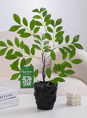 海贝海ins小香松室内盆栽桌面摆件客厅小清新仿真绿植办公室假花