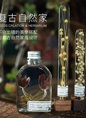 天然植物干 干燥花永生花玄关侘寂风装饰博物桌面摆件玻璃罩标本