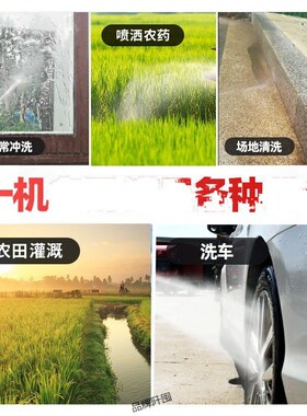 电动喷雾器农用农药消毒打药机z浇菜花神器锂电高压水枪家用洗