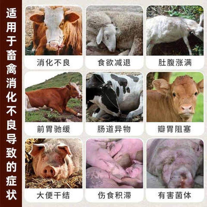 极速兽用多维山楂酵母粉牛羊鸡鸭B鹅反刍健胃散开胃催长催肥饲料 - 图0