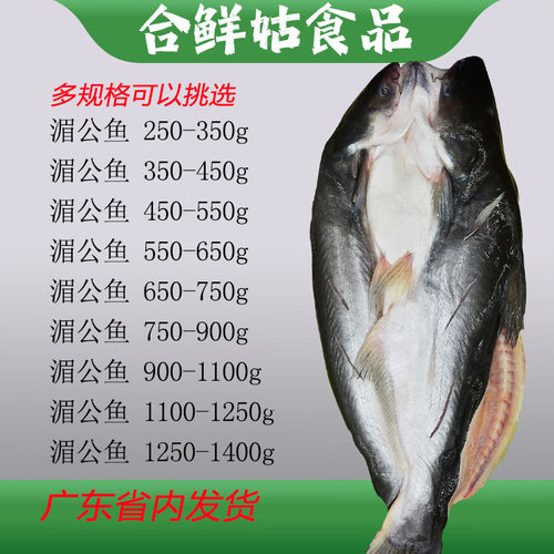 开背巴沙鱼湄公鱼整箱20斤整条带皮新鲜冷冻纸包鱼烤鱼办成品商用 - 图0