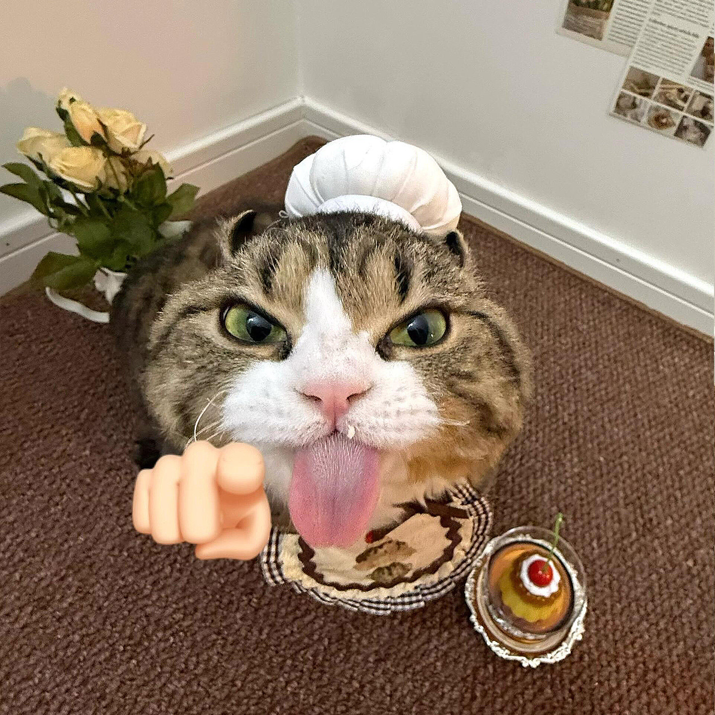 厨师帽子宠物头套可爱拍照装饰猫咪狗狗用品搞怪cos变装道具衣服,淘宝优惠券,粉丝福利购,淘宝优惠卷