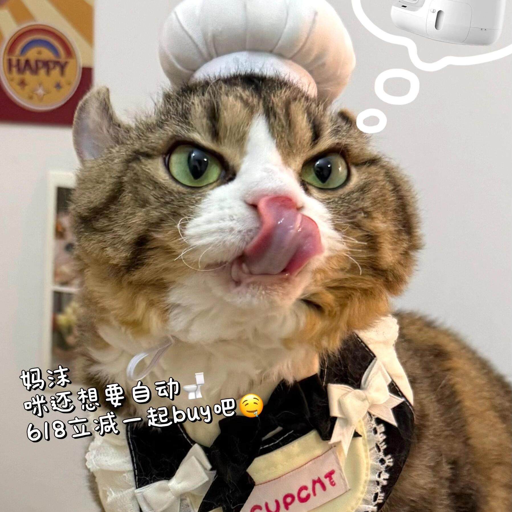 厨师帽子宠物头套可爱拍照装饰猫咪狗狗用品搞怪cos变装道具衣服,淘宝优惠券,粉丝福利购,淘宝优惠卷