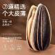 Master Liu melon seeds 3Jin Jin is equal to 0.5kg, packed with original flavor white multi-flavor