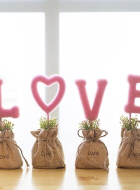 鞋柜装饰品摆件浴室小摆件桌上小绿植创意盆S栽家居结婚房卧室