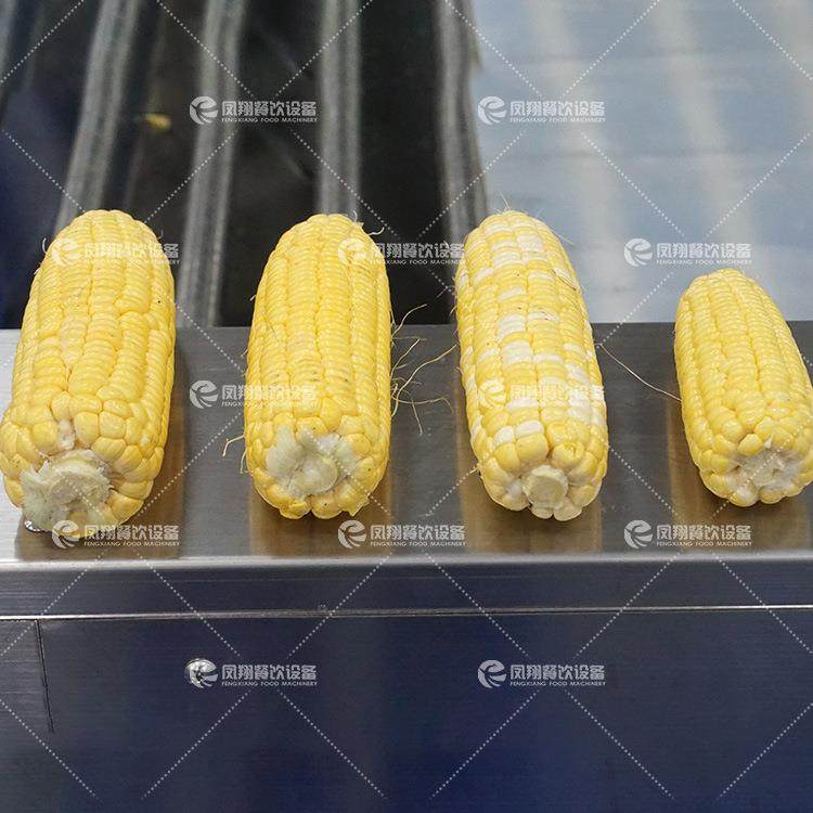 工厂直销商用滚杠式玉米分级机玉米尺寸分级分拣机玉米分选设备,淘宝优惠券,粉丝福利购,淘宝优惠卷