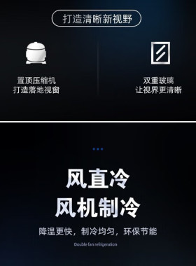 星星风冷无霜冷藏立式冰柜