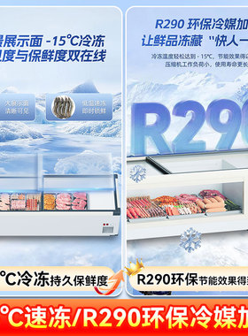 星星冰柜移动冷藏展示柜保鲜柜