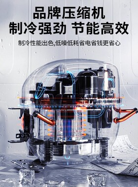五羊解冻柜商用低温高湿融化柜冷藏冷冻猪羊牛肉抑菌排酸柜缓化柜