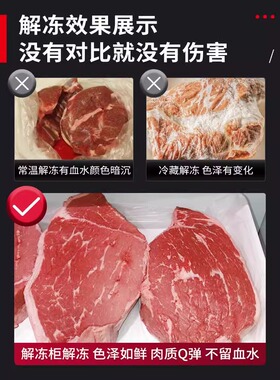 商用解冻柜高压静电解冻低温冷藏大容量抑菌猪羊牛肉化冻机排酸柜