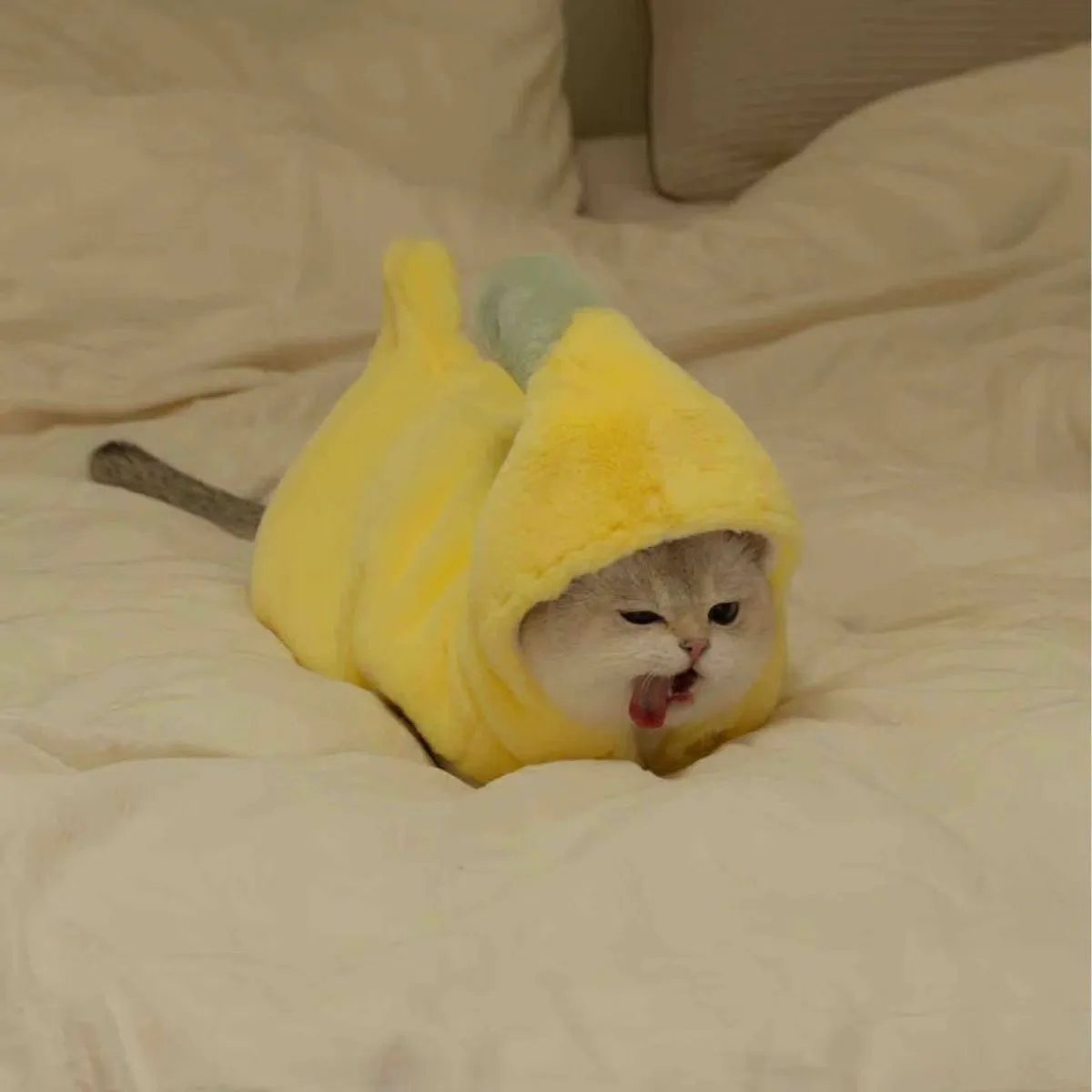 猫咪衣服秋冬装泰迪比熊小型犬服装加绒防掉毛搞怪香蕉变身马甲装,淘宝优惠券,粉丝福利购,淘宝优惠卷