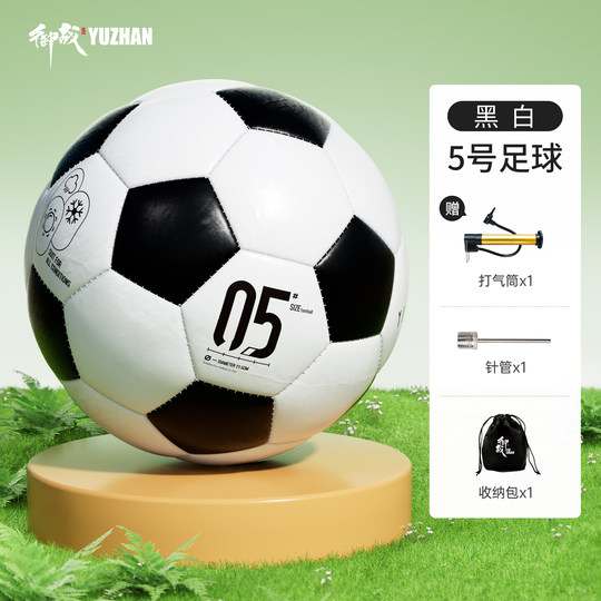 标准黑白足球儿童小学生中考专用足球4号幼儿青少年训练专用5号球