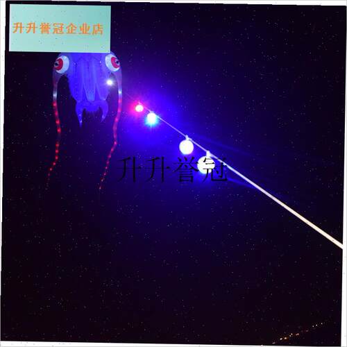 采购产品风筝线灯夜光风筝u专业灯潍坊大型和特大型电风筝灯彩色, - 图1