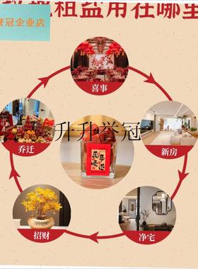 粗盐网房子大胶囊喜马拉雅天然玫瑰盐海盐R特殊瓶碟装饰容器,