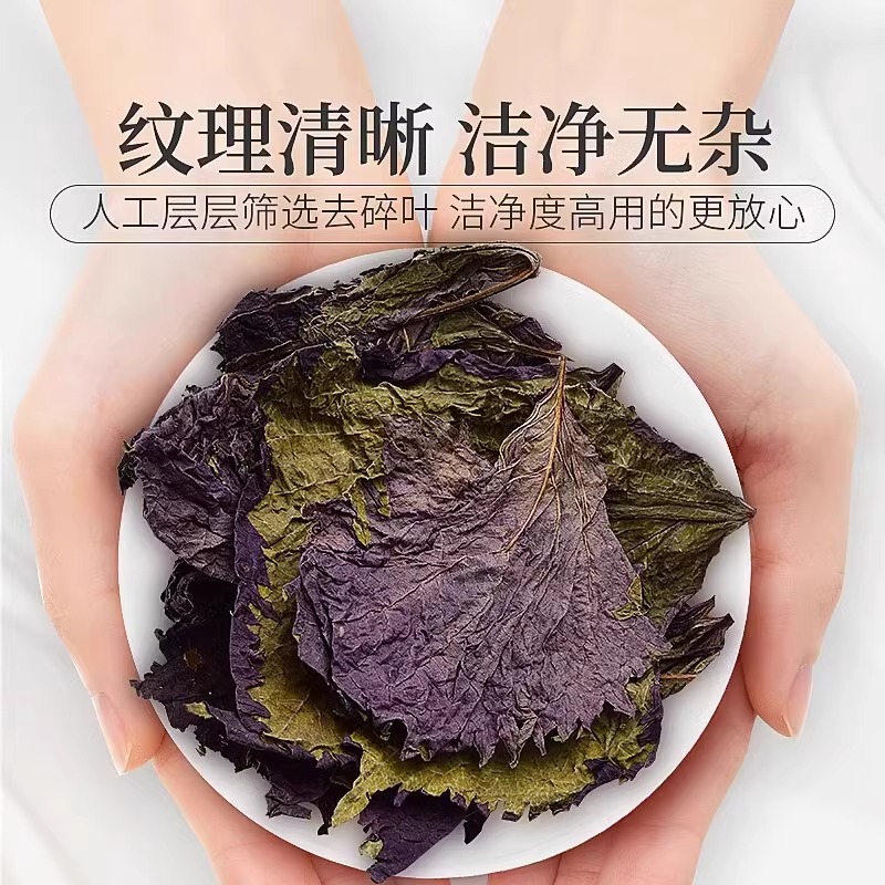 紫苏叶中药材食用干紫苏叶粉泡脚泡澡泡茶泡水非野生苏叶新鲜干货