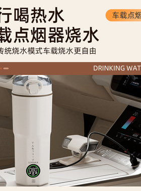 车载加热烧水杯烧水壶12v24v通用