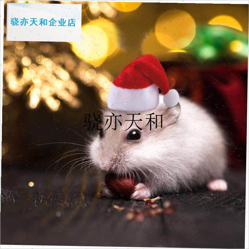 l马逊新品宠物仓鼠圣诞帽装扮帽子龙猫M节日金丝熊配饰帽现货,淘宝优惠券,粉丝福利购,淘宝优惠卷