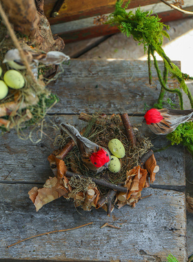 极速鸟巢户外摆件花园角落布y置庭院环创别墅森系园区景观园林造