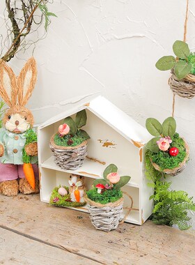新品微景观e造景田园小摆件幼儿园环创材料植物角庭院花园可爱兔