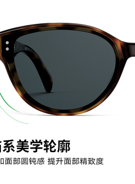帕森男女范丞丞同款复古玳瑁墨镜