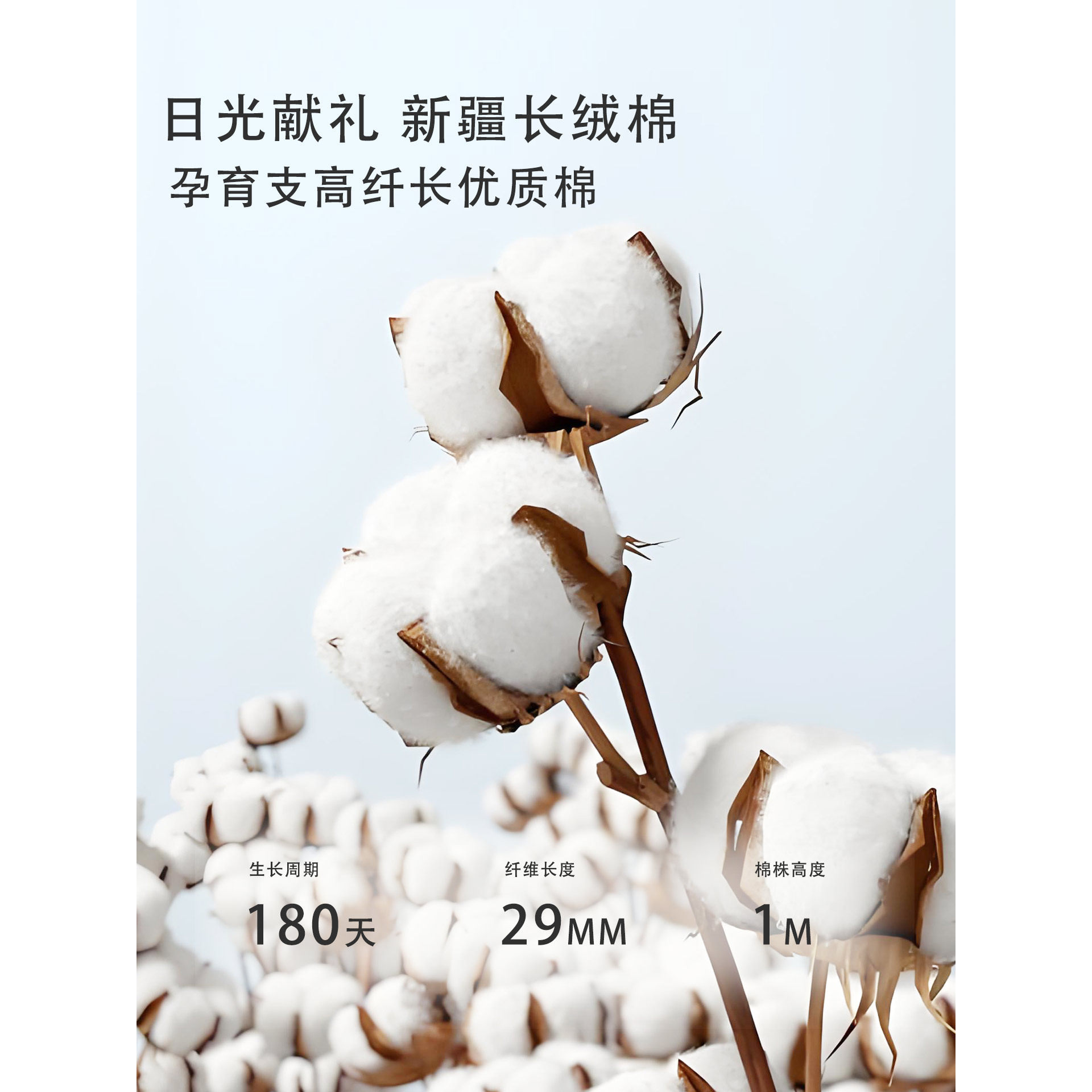 婴幼儿春秋A类纯棉无骨马甲背心坎肩森系男女宝外出居家棉毛马甲,淘宝优惠券,粉丝福利购,淘宝优惠卷