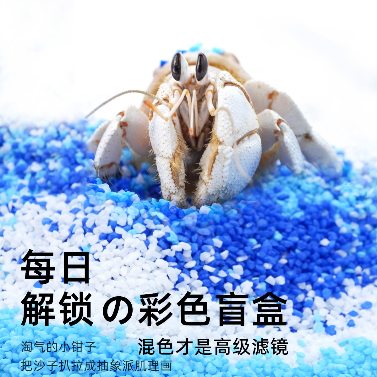 寄居蟹活体新手饲养套餐套装～高透亚克力饲养盒箱儿童礼物萌宠,淘宝优惠券,粉丝福利购,淘宝优惠卷