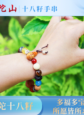 极速普陀山十八籽j真品菩提手串女杭州十八子念珠佛珠18籽转运珠