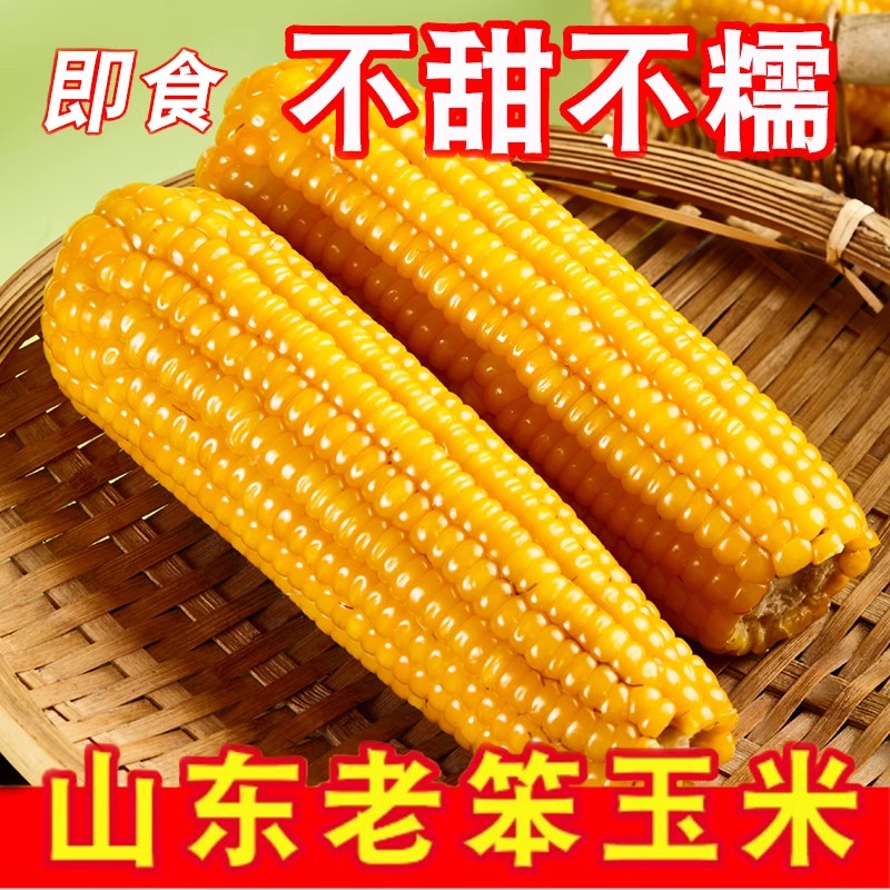 真空传统老式笨玉米即食10根山东农家免蒸煮熟西沂州代餐健身 - 图0