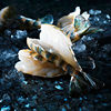 Zhoushan Black Tiger Shrimp Fresh Extra Large Shrimp Live Frozen Fresh Tiger Shrimp Chilled Prawn Fresh Sea Shrimp Frozen Seafood