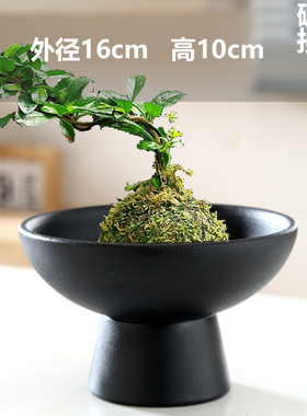 苔藓球中式亚光桌面摆件水培米竹菖蒲水培器盆托家用陶瓷高脚盆景