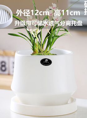 特价花盆陶瓷简约透气带托盘家用阳台盆栽绿植多肉盆厂家直销清仓