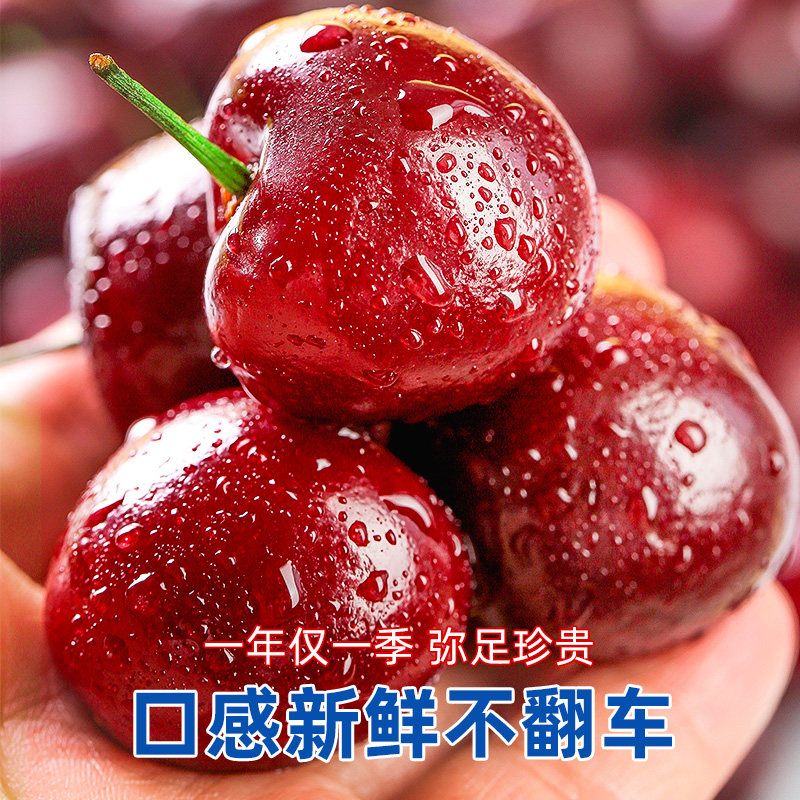 2������ ������ ����ˮ�� ����������� ��� 48Ԫ(����ȯ)