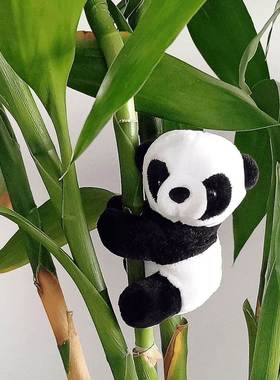 创意转运竹富贵竹熊猫夹子毛绒玩偶小公仔小挂件盆栽家居装饰成都